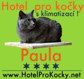 Hotel pro kočky - PAULA Kozmice